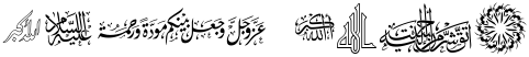 "Wavy Text" rendered in the AGA Islamic Phrases font