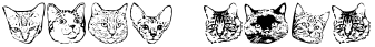 "Your Text" rendered in the KittyPrint AOE font